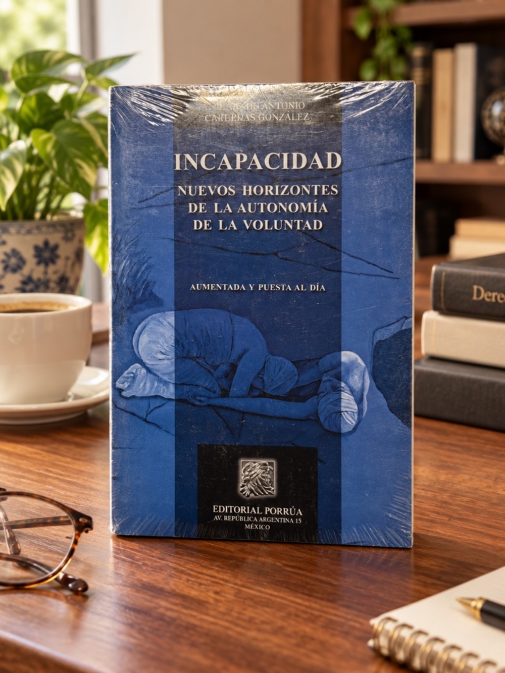Incapacidad Nuevos Horizontes Voluntad Law Book Mexican Editorial Porrua Law